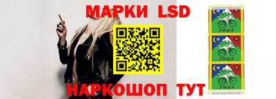 mdpv Новодвинск