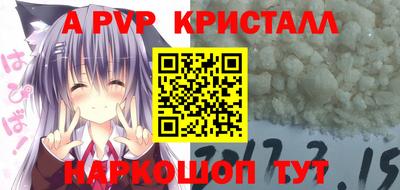 индика Новозыбков
