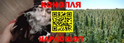mdpv Новодвинск