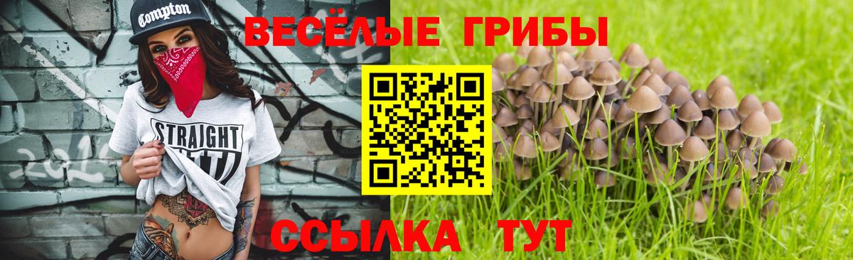 Галлюциногенные грибы GOLDEN TEACHER Урюпинск
